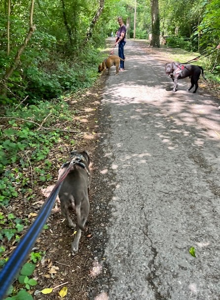 This is the place to sniff boys!