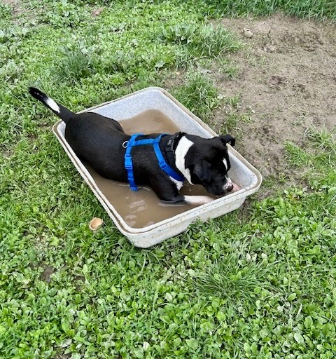 I shall lie down in it xx