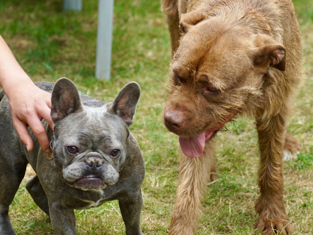 Little and large !!! With petite Pierre xxx