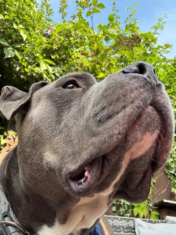 Enjoying the fresh air
