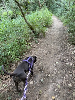 IMG_3791.jpeg