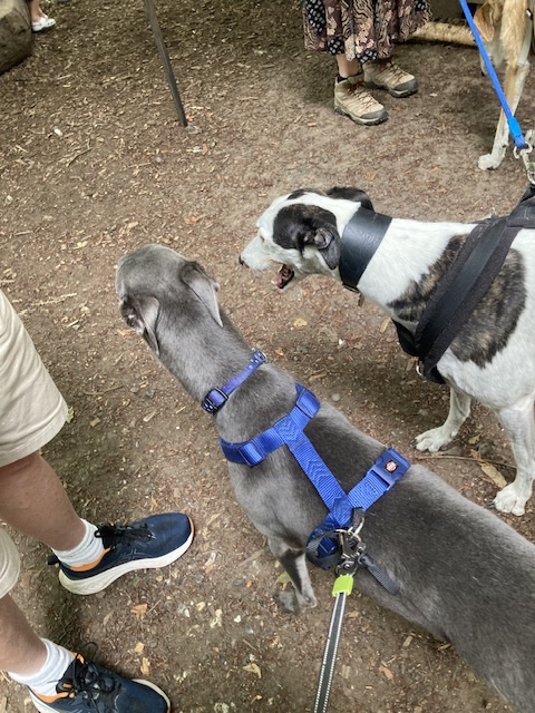 met a new friend whilst out for coffee