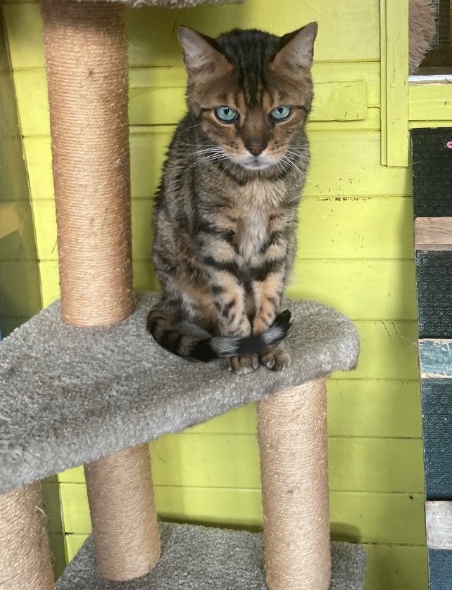 Benji26.jpg