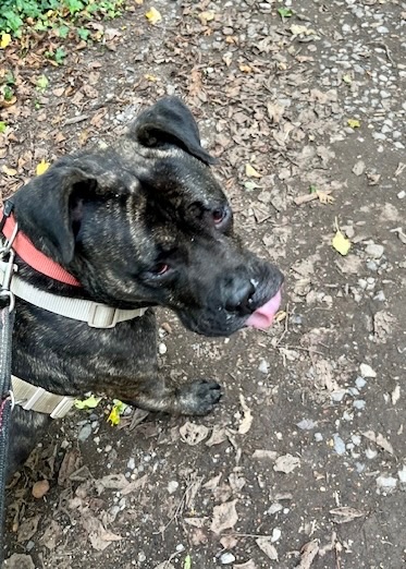 where are they going?