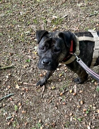 did you call my name?