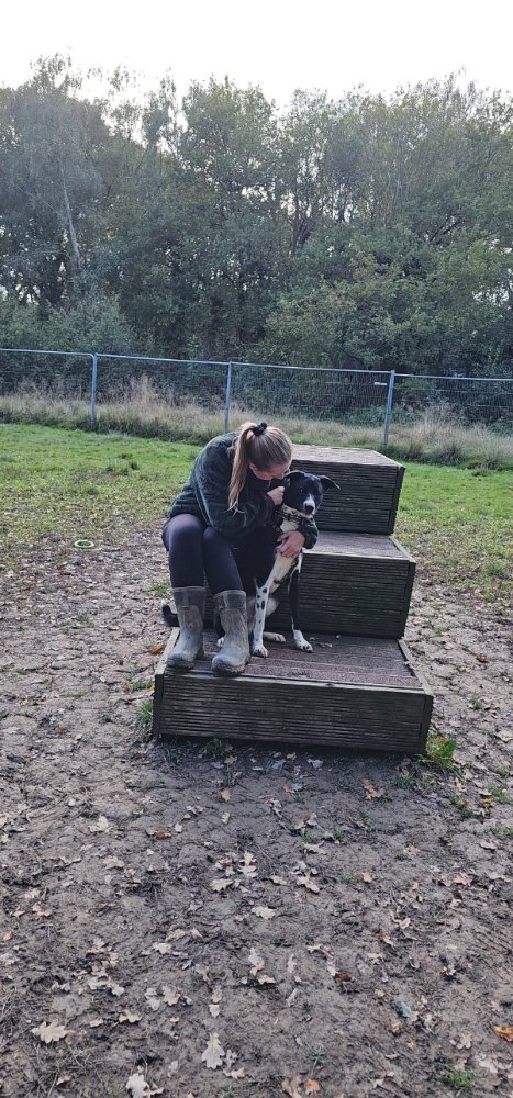 1000037088-resized-to-medium (1).jpeg