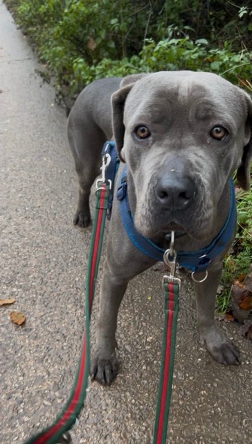 IMG_5443 Medium.jpeg