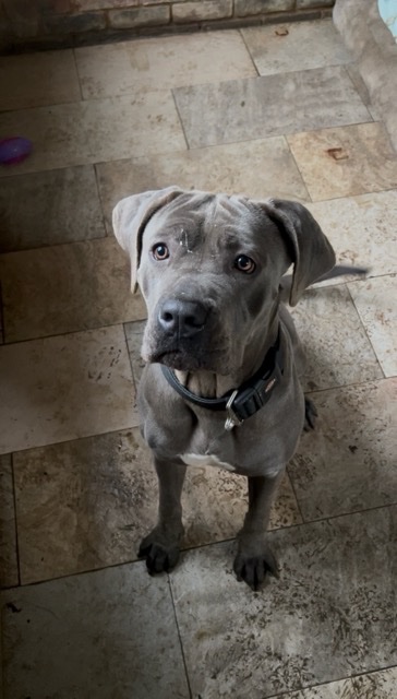 IMG_5442 Medium.jpeg