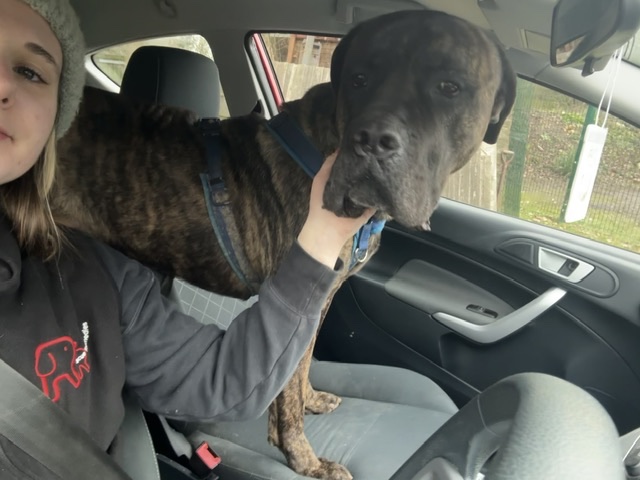 Can I sneak in the front?